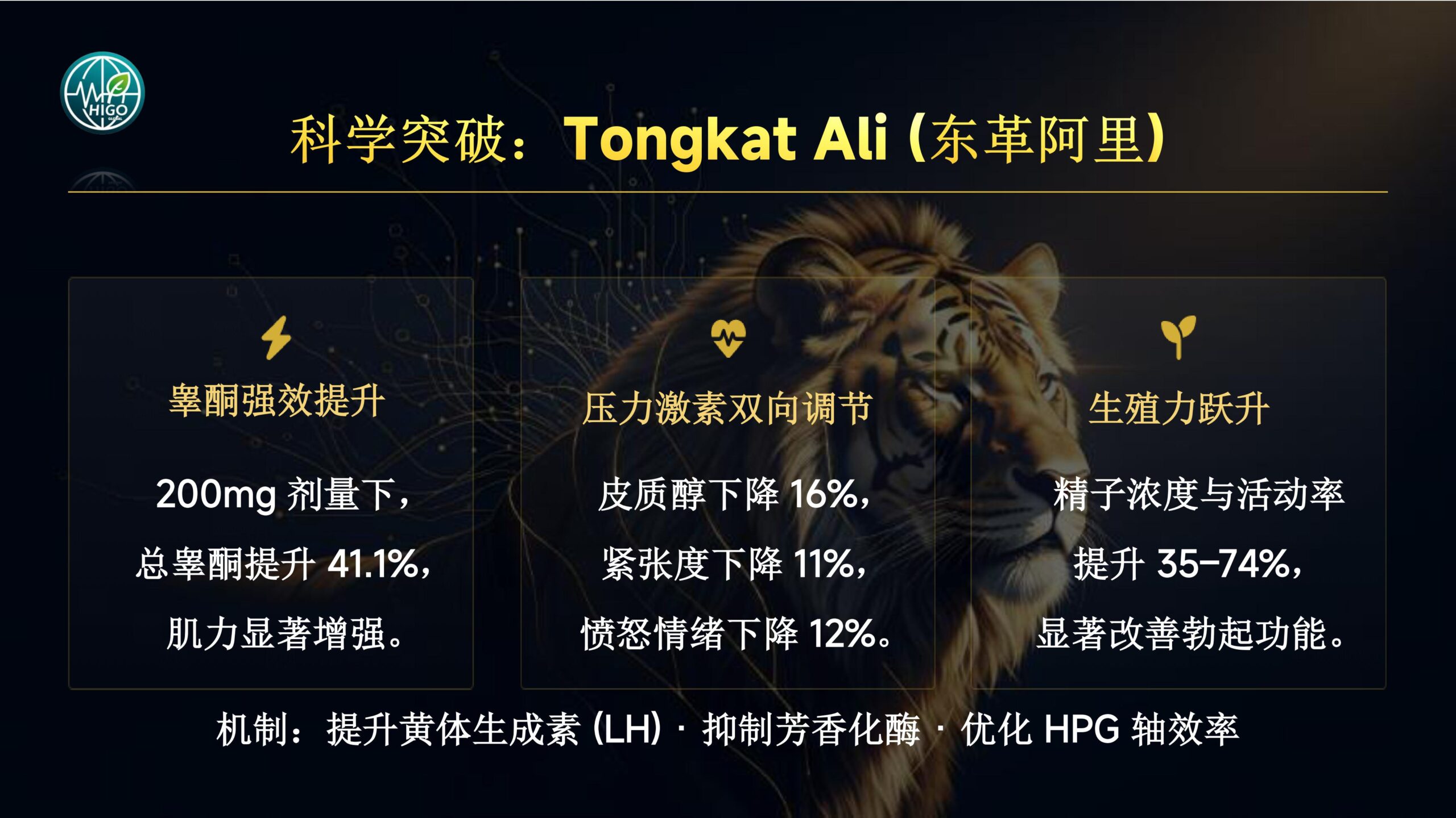 基因荷尔蒙产品介绍PPT完善版-图片-20