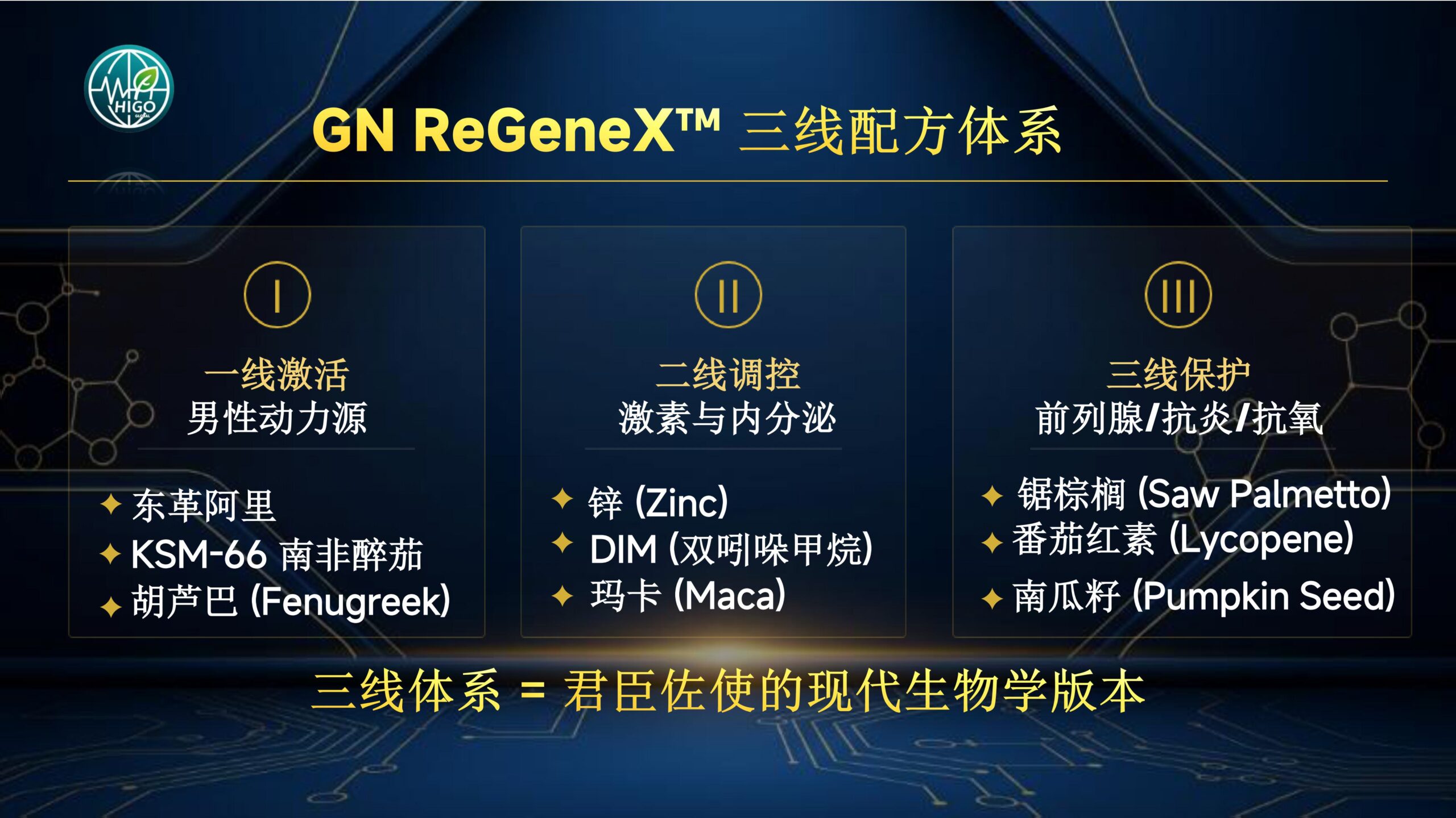 基因荷尔蒙产品介绍PPT完善版-图片-24