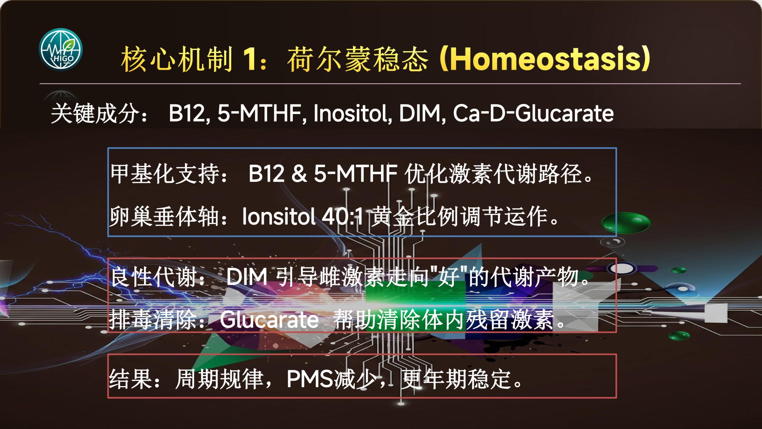 基因荷尔蒙产品介绍PPT完善版-图片-37