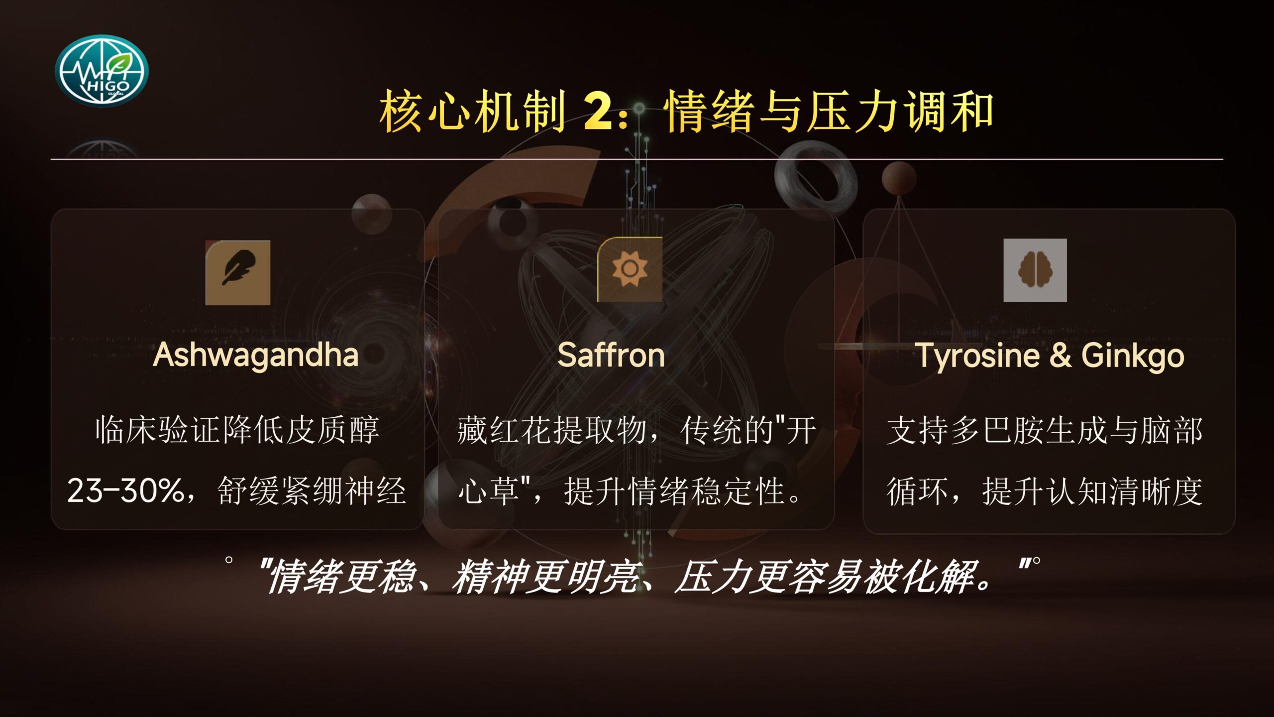 基因荷尔蒙产品介绍PPT完善版-图片-38