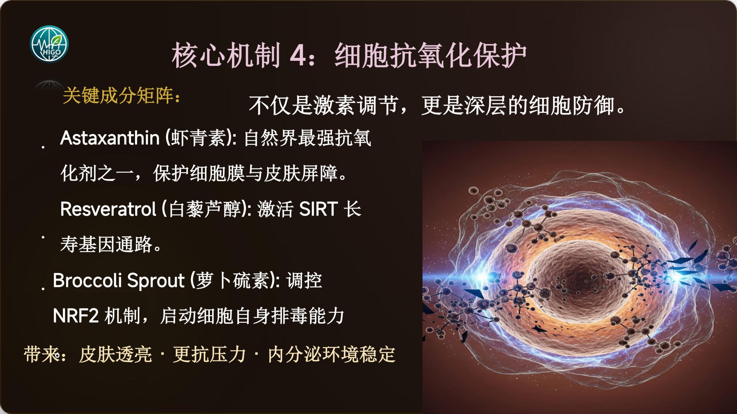 基因荷尔蒙产品介绍PPT完善版-图片-40