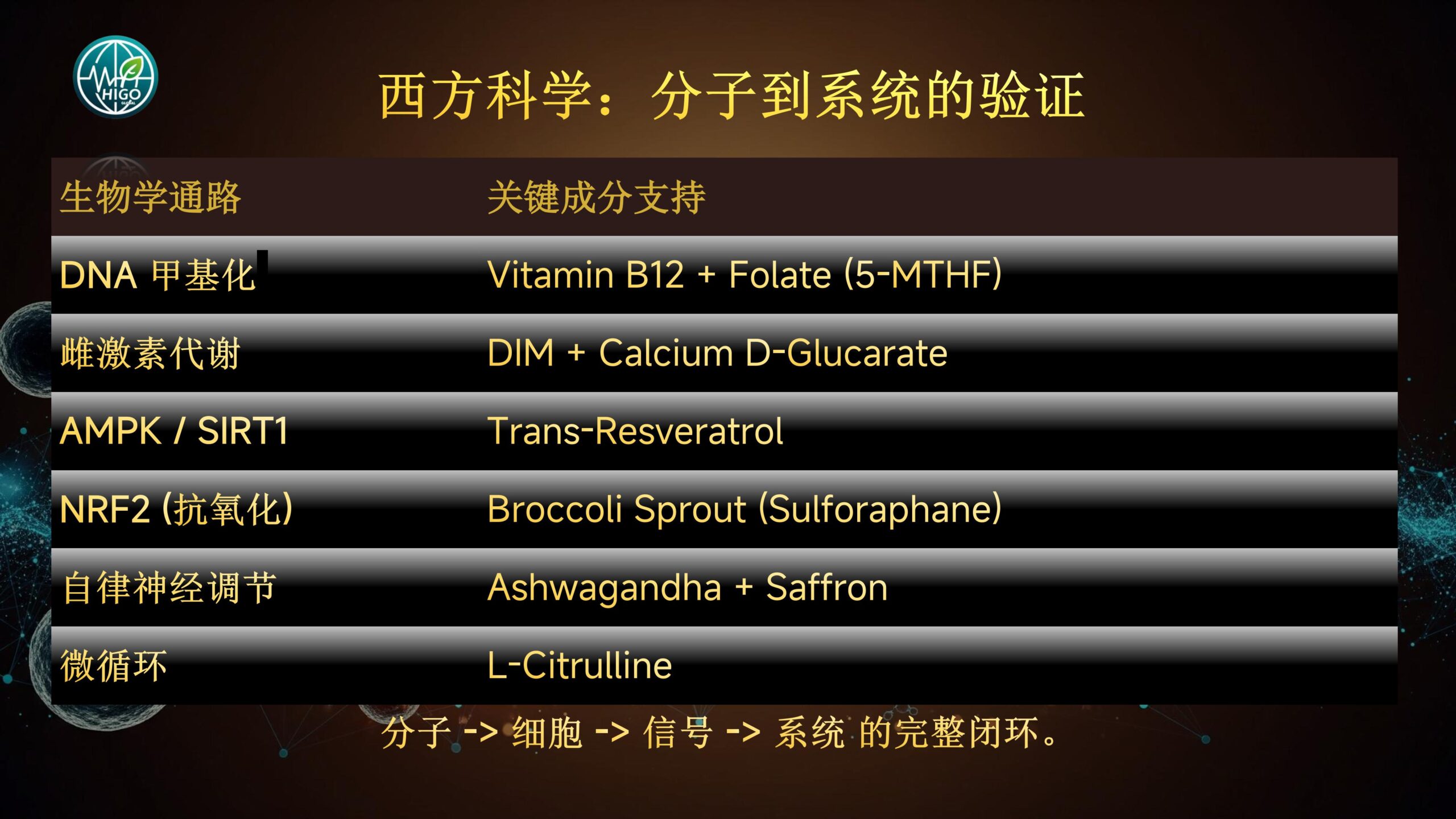 基因荷尔蒙产品介绍PPT完善版-图片-43