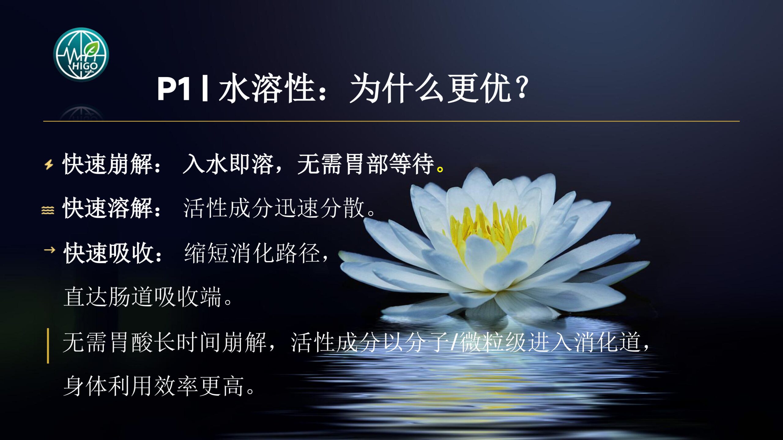 基因荷尔蒙产品介绍PPT完善版-图片-6