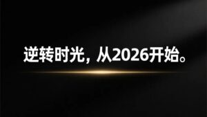 Read more about the article 很多人问我：2026你到底在做什么？