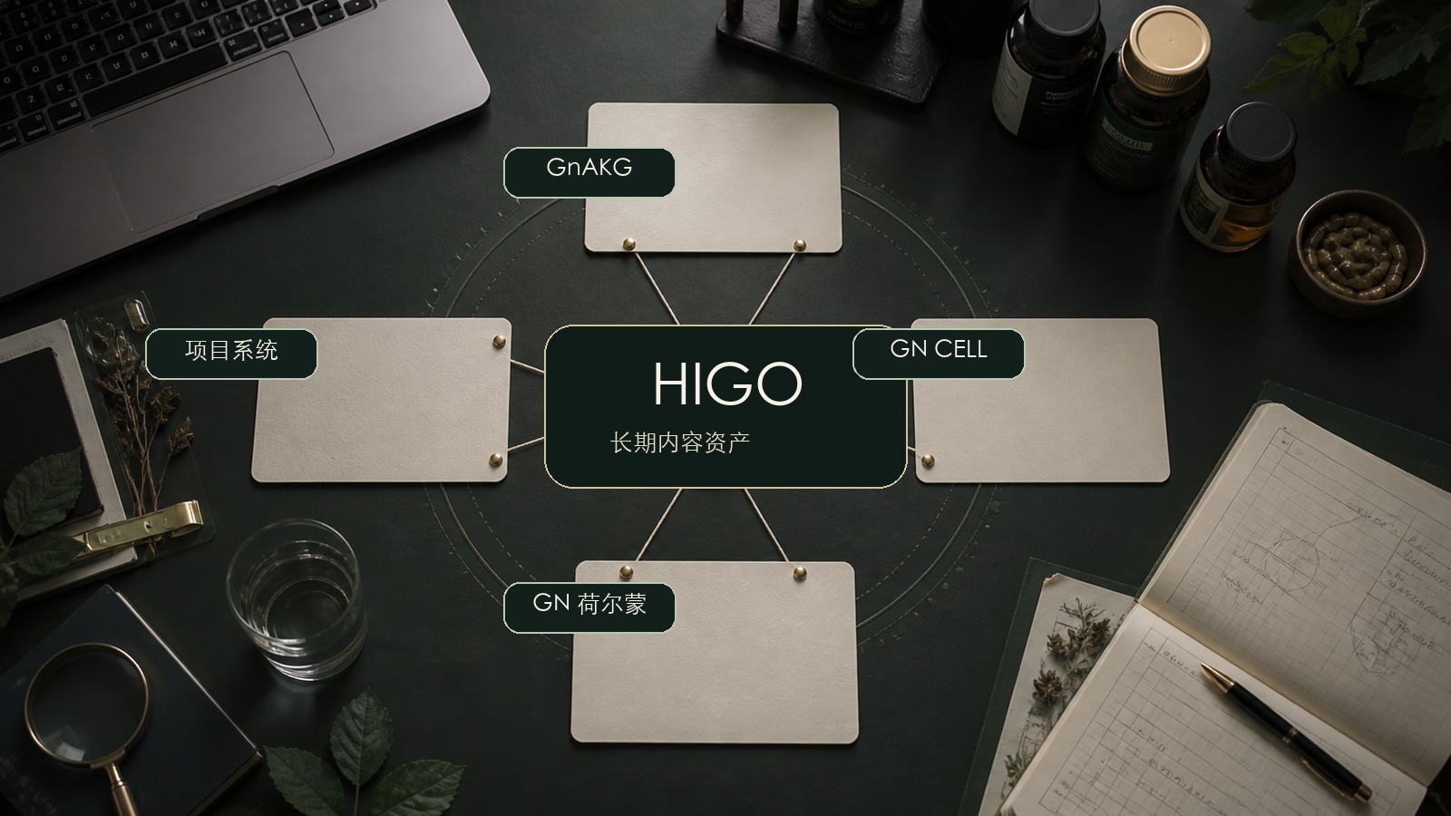 HIGO长期内容资产地图